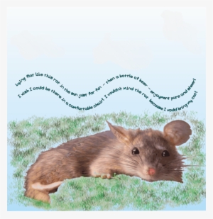 Clip Art Clipart Mouse Rat Clip Art