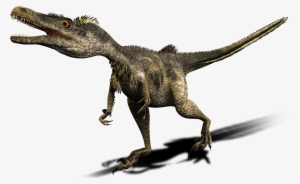 Dinosaur Vector Free Png Background Image - Tiranossauro Rex Vs Velociraptor