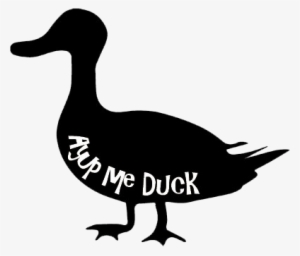 Related - Ay Up Me Duck