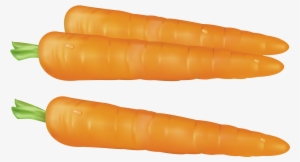 Carrots Png Gallery Yopriceville High Quality Images - Carrot Clipart Transparent Background