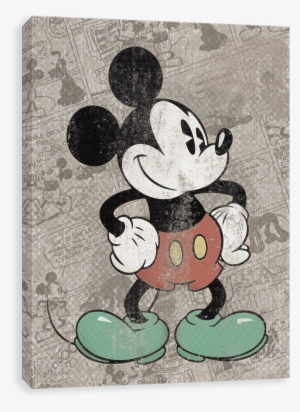 Mickey Stonewashed Vintage