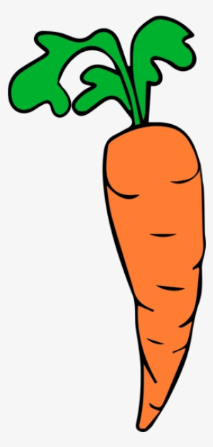 Carrots13 - Carrot Clipart