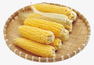 Free Png Corn Png Images Transparent - Sweet Corn Png
