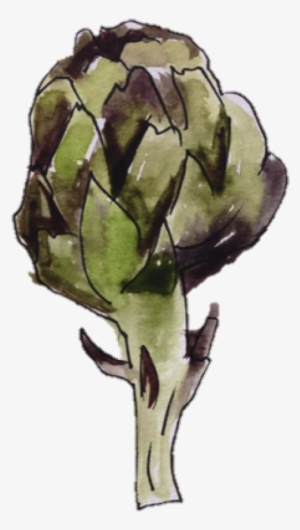 Artichoke