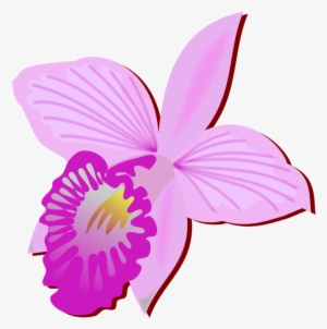 Bamboo Orchid Cut Flowers Drawing Orchids Free Commercial - Orquidea Clipart