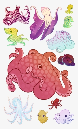 A Variety Of Octopi - Octopus