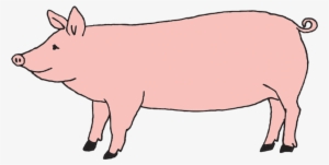 Pig - Tattly Temporary Tattoos / Farm Animal Set