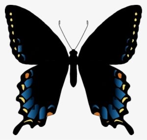 Papilioglaucusmimetic - Real Azul Mariposas