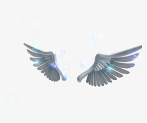 Sparkling Angel Wings Roblox Angel Wings Code Transparent Png