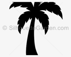 Palm Tree Silhouette Png - Silhouette Of A Palm Tree