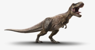 Dinosaur Png Transparent Image - Jurassic World Fallen Kingdom T Rex