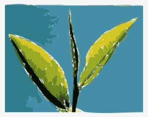 Paint Leaves Blue Background Clip Art At Clker - Tea Leaf Clip Art