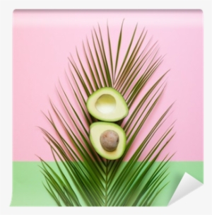 Ripe Avocado On Palm Leaf On A Colored Background - Palmiye Yaprağı Hd Duvar Kağıdı