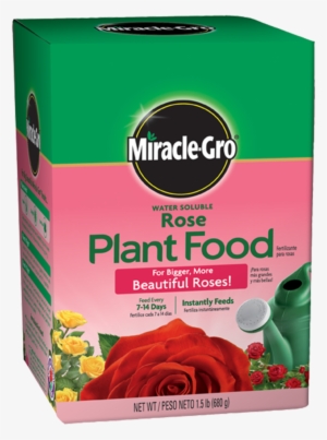 Miracle Gro Rose Food
