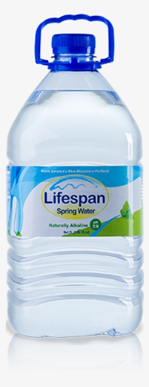 5 Litre - Lifespan Water