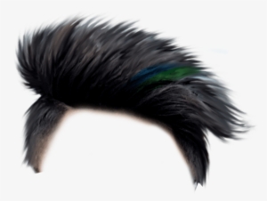 Download Zip Archive Roblox Hair Png Transparent Png 750x650 Free Download On Nicepng - download zip archive roblox hair png transparent png 750x650 free download on nicepng