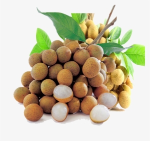 Fruits Transparent Longan