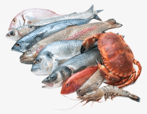 Seafood - Sea Foods Images Png