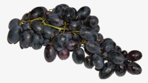 Grapes, Blue, Fruit, Fruits, Eat, Food - Grape