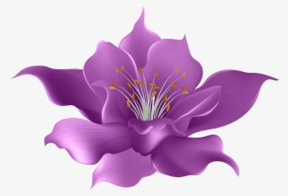 0, - Magnolia Flower