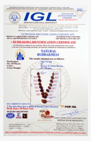 Multi Combination Multiple Purpose Rudraksha Mala - Blue Sapphire / Neelam / Nilam - 4.60 Ct - Lab Certified