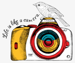 Png Dslr Camera With White Brid - Vector Graphics