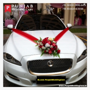 Luxury Wedding Cars For Hire In Punjab Chandigarh India - Doli Wali Cars