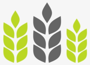 Free Png Agriculture Transparent Png Images Transparent - Farm All Agriculture Company Logo