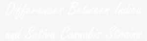 Differences Between Indica And Sativa Cannabis Strains - Twitter White Icon Png