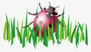 Grass Backgrounds Set With Flowers And Ladybug, Vector - Garden Care