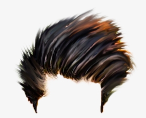 For More Download Cb Hair Png In High Quality Plz Click - Illustration