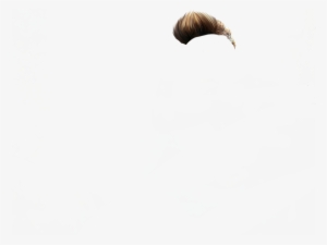 Hair Png - Echidna