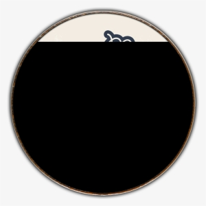 Miss Major 2 - Circle