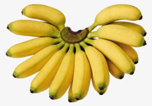 Bananas- Lady Finger - Lady Finger Banana Png