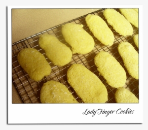Lady Finger Italian Cookies