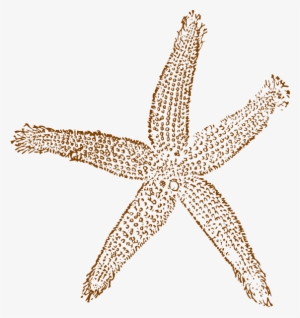 Fish Clip Art