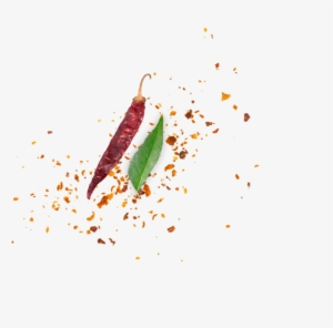 Red Pepper Series - Illustration