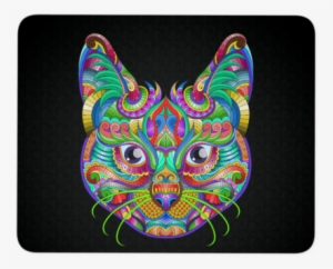 Black And White Download Cat Abundant Colors Mouse