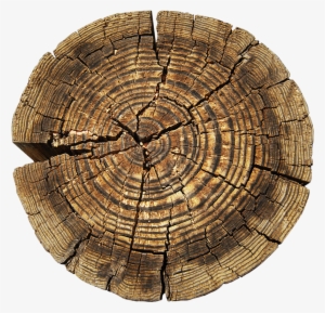 Tree Aastarxf5ngad Texture Mapping - Tree Stump Free Texture