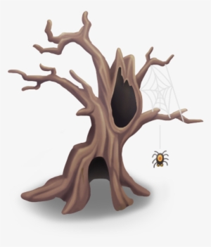 Spider Tree - Spider