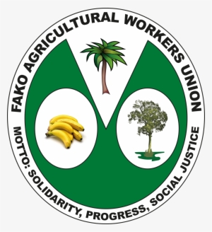 Fawu Organises Plantation Workers In The South West