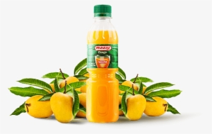 Mango Juice - Juice