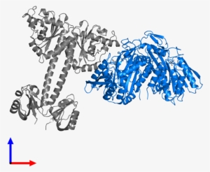 <div Class='caption-body'>pdb Entry 4lry Contains 2 - Illustration