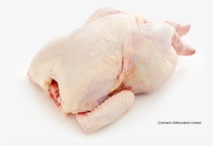 Chicken - Turkey Meat
