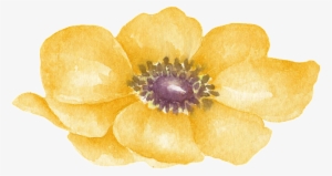 Yellow Floral Transparent Decorative - Watercolor Lilac Png