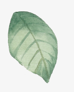 Leaf-4 1 - Watercolor Painting