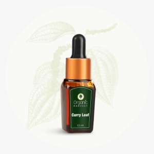 Curry Leaf Essential Oil - Organic Harvest Narcissus Essential Oil