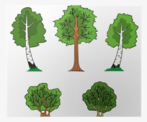 Trees And Bushes In The Forest, Vector Illustration - Деревья Мультяшные