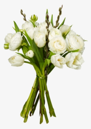 White Tulip Bouquet - Bouquet