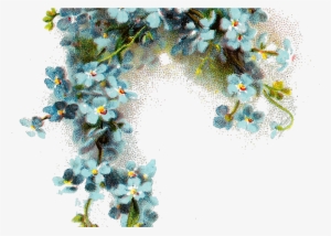 Freetoedit Png Flowers With A Transparent Background - Forget Me Not Flower Png